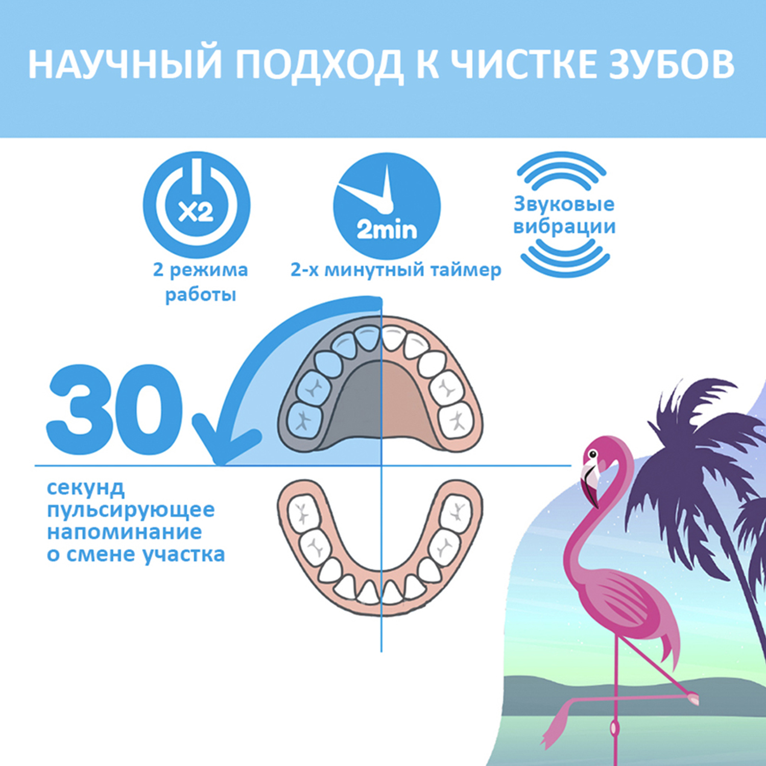 Brush Baby - Щетка зуб/электрич.звуковая (с 3 лет) KidzSonic, Фламинго