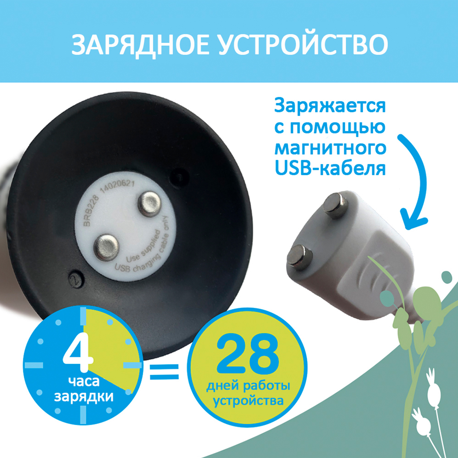 Brush-baby Детская электрическая зубная щетка Sonic WildOne, коала, от 0- 10 лет.